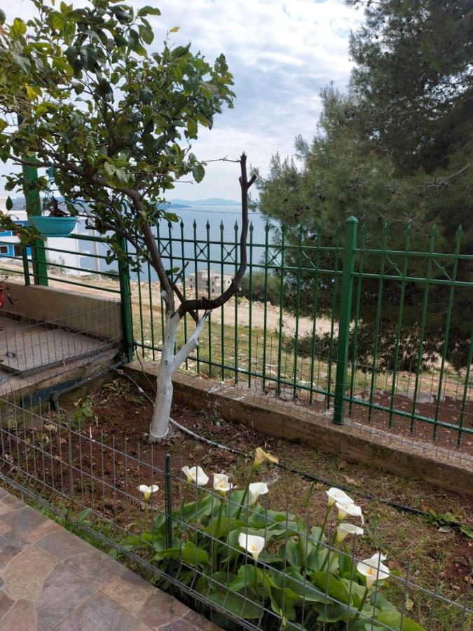 Villa Luiza Saranda Extérieur photo